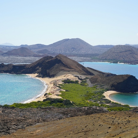 Galápagos