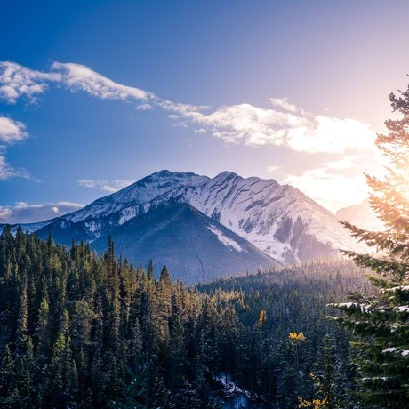 Canada | Path Through the Wild