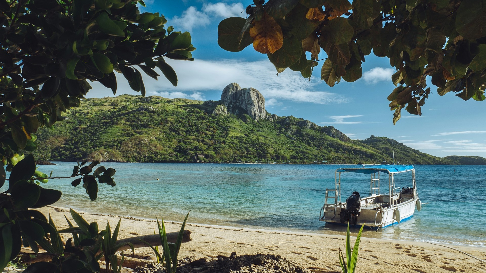 Fiji | Reef Life: Color and Community