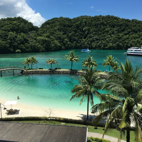 Palau | WWII Echoes: Shipwrecks & Relics
